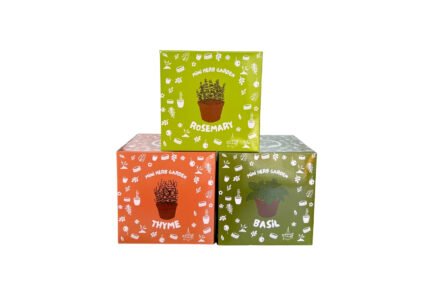 CoirProducts Let’s Grow Packs- Mini Herb Garden!
