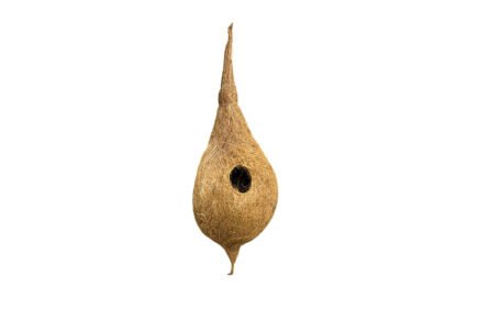 CoirProducts Coir Bird Nest